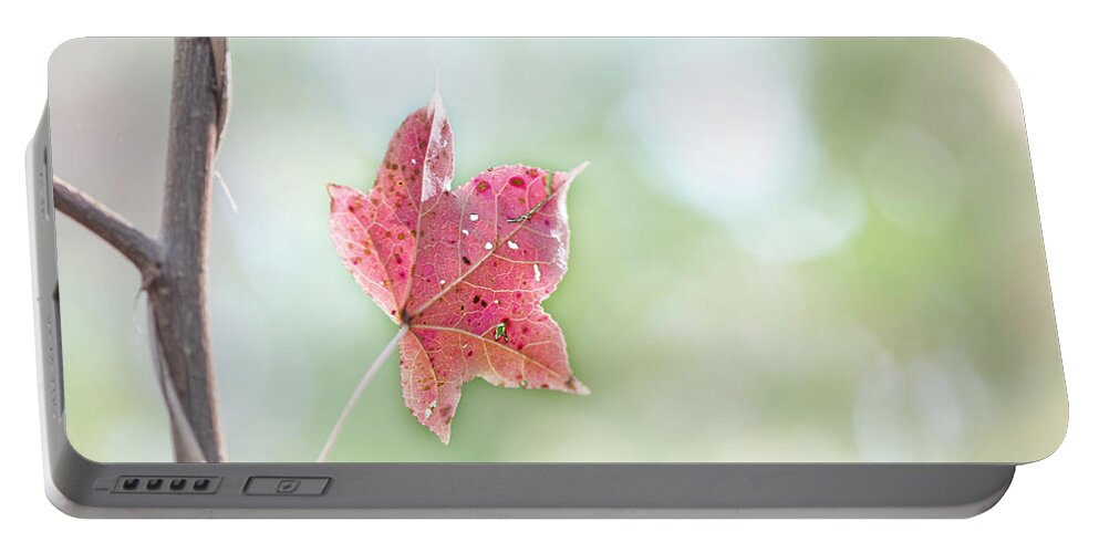 Fall Portable Battery Charger featuring the photograph Autumn Leaf by Karen Rispin