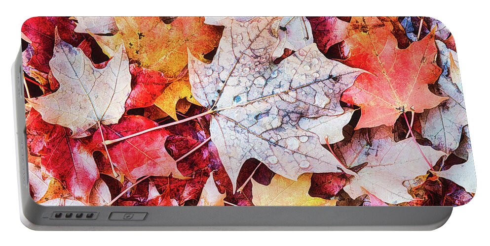 Autumn Portable Battery Charger featuring the photograph Autumn Leaves Abstract by Gary Slawsky