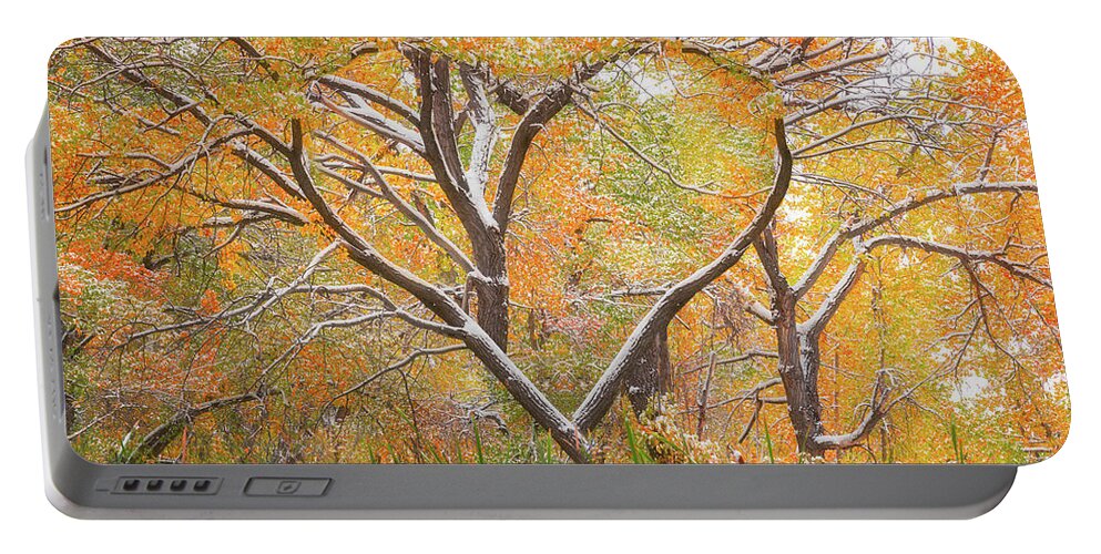 Fall Portable Battery Charger featuring the photograph Autumn Love by Darren White