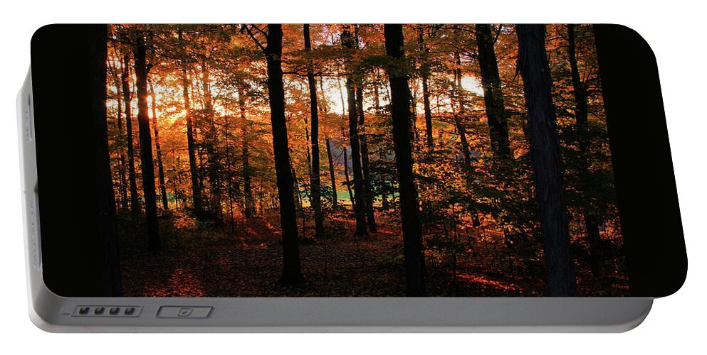 Autumn Portable Battery Charger featuring the photograph Autumn Splendor by Patricia Overmoyer