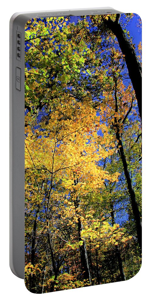 Autumn Portable Battery Charger featuring the photograph Autumn Splendor by Steve Ember