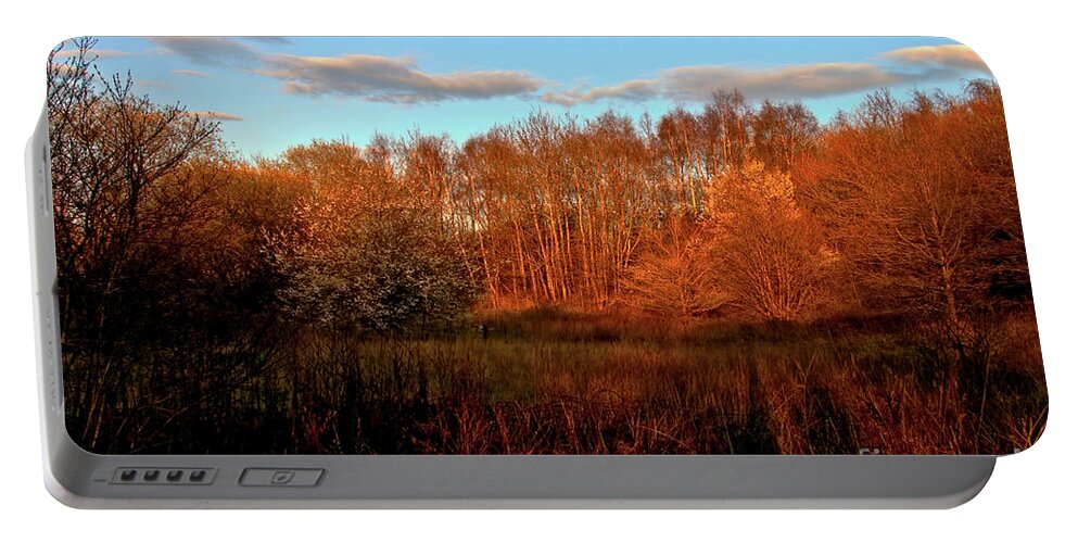 Nature Portable Battery Charger featuring the photograph Autumn splendour by Baggieoldboy