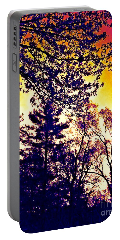 Landscape Portable Battery Charger featuring the photograph Autumn Sunrise Abstract - Thermal Effect by Frank J Casella