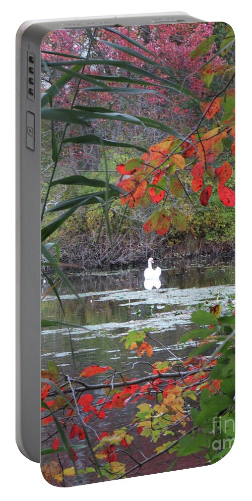 Swan Portable Battery Charger featuring the photograph Autumn Swan Long Island by Mars Besso