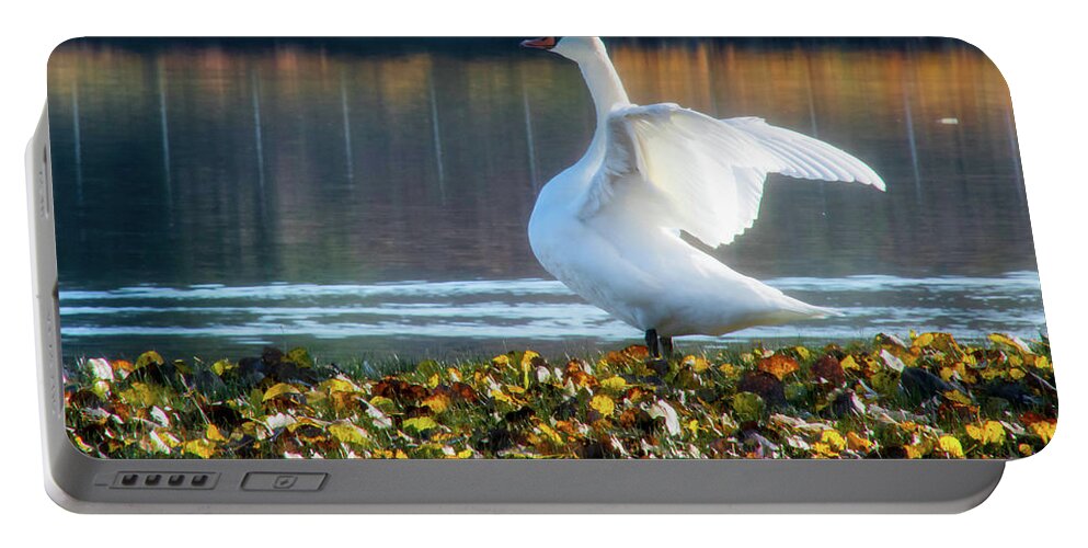 Swan Portable Battery Charger featuring the photograph Autumn Swan by Steph Gabler