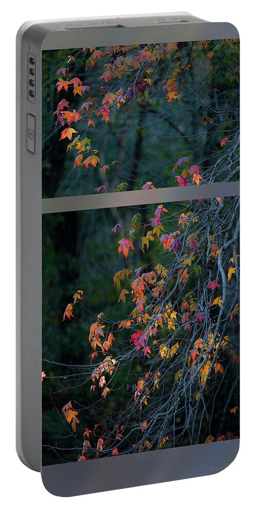 Liquidambar Portable Battery Charger featuring the photograph Autumn tree by Karen Rispin