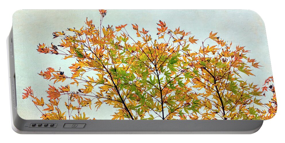 Tree Portable Battery Charger featuring the photograph Autumn Tree Top by Gary Slawsky