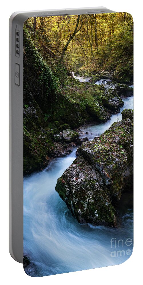River Portable Battery Charger featuring the photograph Autumnal stream by Yuri Santin