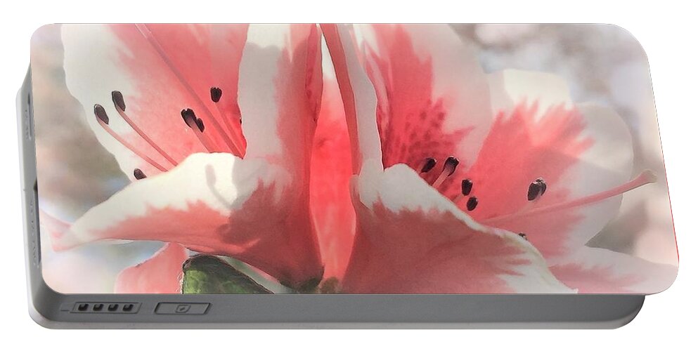 Azalea Portable Battery Charger featuring the photograph Azalea in the Morning by Angela Davies
