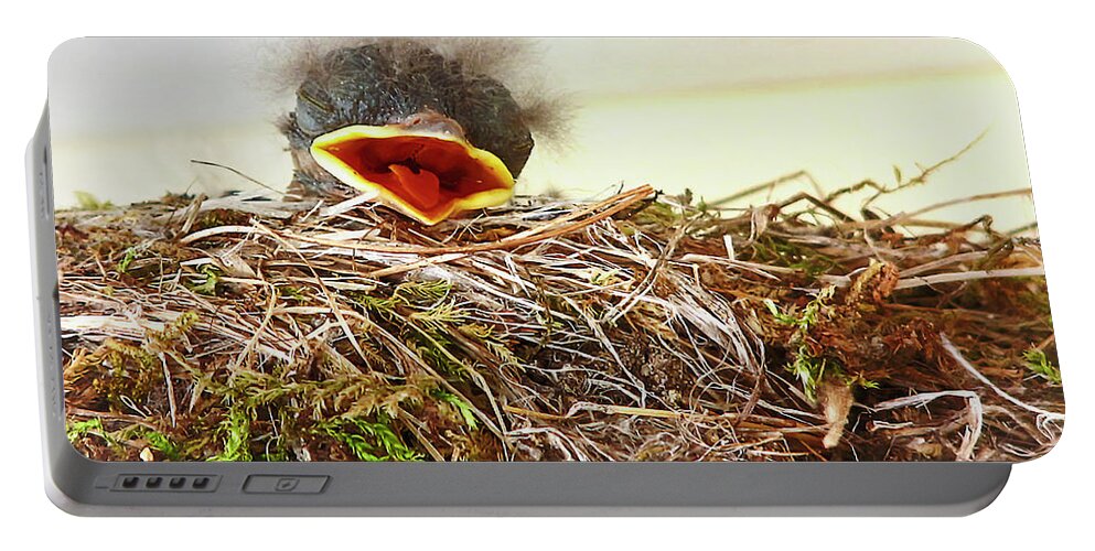 Bird Portable Battery Charger featuring the photograph Baby Bird by Natalie Rotman Cote