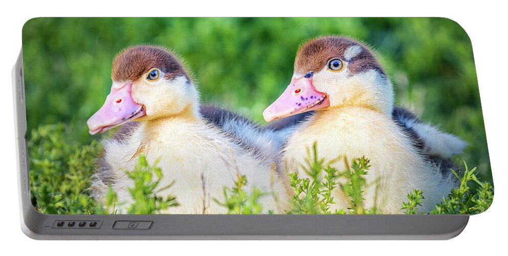 Ready Portable Battery Charger featuring the photograph Baby Ducks Ready For Play time by Jordan Hill