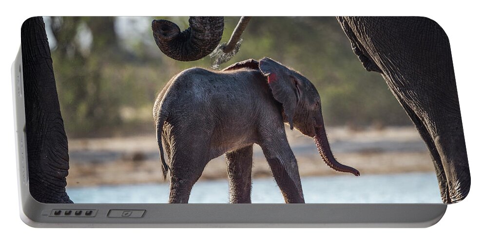 Africa Portable Battery Charger featuring the photograph Baby Elephant by Bill Cubitt