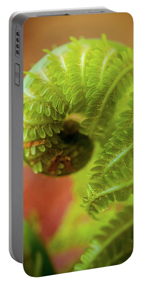 Green Portable Battery Charger featuring the photograph Baby Fern 2 by Lilia S