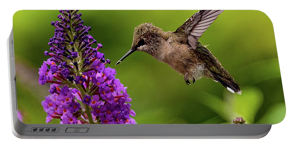 Hummingbird Portable Battery Charger featuring the photograph Baby Hummer by Minnie Gallman