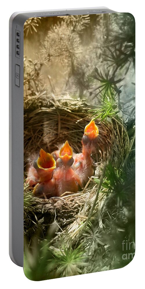 Birds Portable Battery Charger featuring the photograph Baby Robins by Janie Johnson