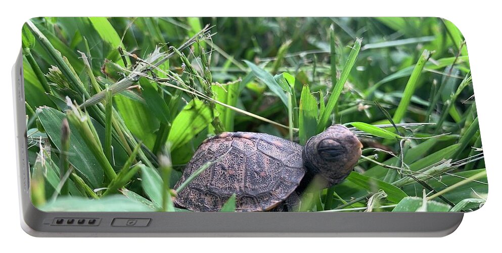  Portable Battery Charger featuring the photograph Baby Turtle by Annamaria Frost