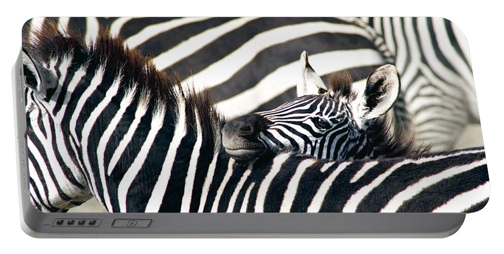 Animals Portable Battery Charger featuring the photograph Baby Zebra, Ahead of the Herd by Bonnie Colgan