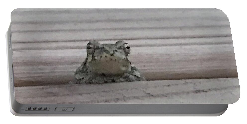 Frog Portable Battery Charger featuring the photograph Back Porch Wood Frog by Mary Kobet