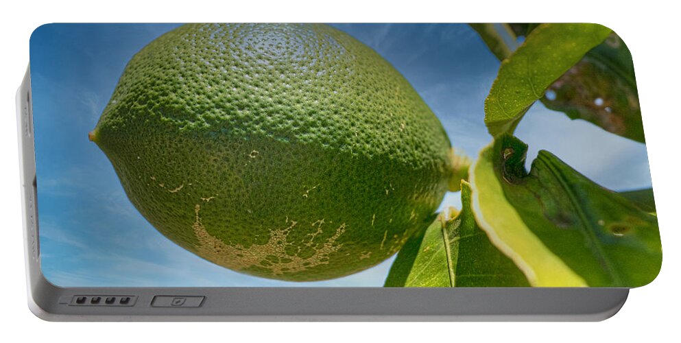 Lime Portable Battery Charger featuring the photograph Backyard Beauty by Richard Goldman