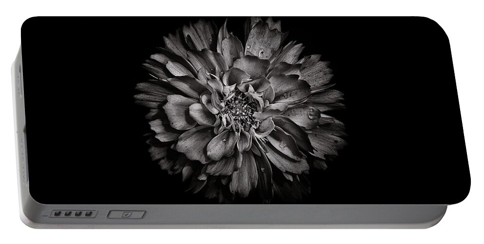 Brian Carson Portable Battery Charger featuring the photograph Backyard Flowers In Black And White 79 by Brian Carson