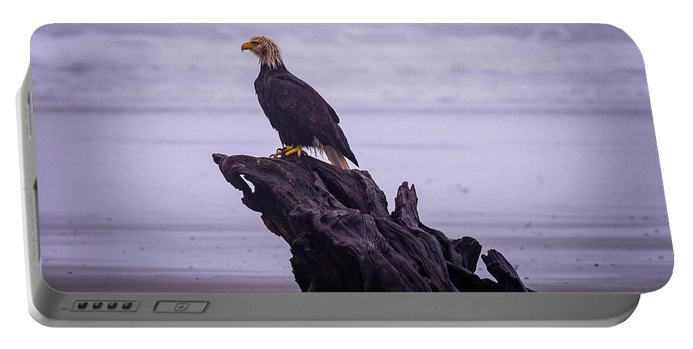 Bald Eagle Portable Battery Charger featuring the photograph Bad Hair Day by Stephen Sloan