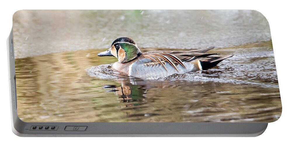 Baikal Teal Portable Battery Charger featuring the photograph Baikal Teal, a beautiful and rare visitor in Sweden by Torbjorn Swenelius