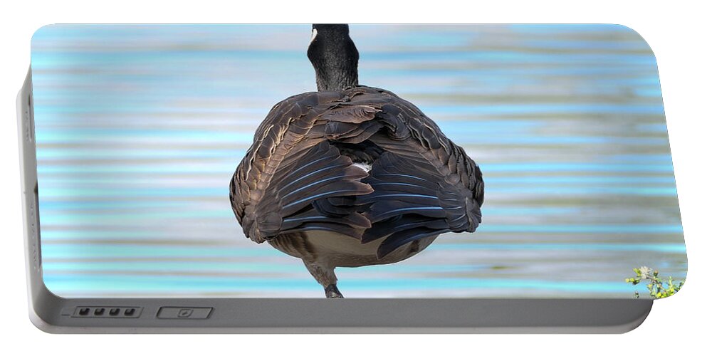 Bird Portable Battery Charger featuring the photograph Balancing by the Water's Edge by Bentley Davis