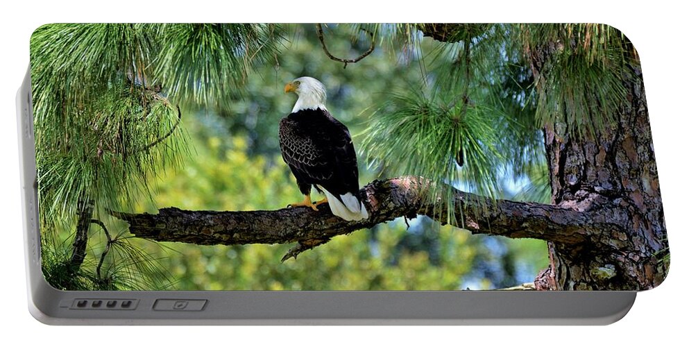 Bald Eagle Portable Battery Charger featuring the photograph Bald Eagle American Symbol by Julie Adair