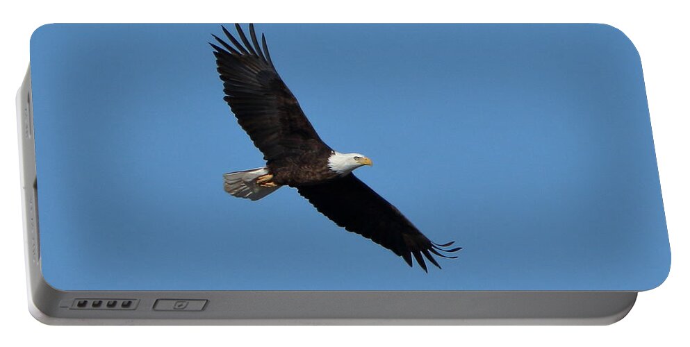 Bald Eagle Portable Battery Charger featuring the photograph Bald Eagle at Bosque del Apache by Steve Wolfe