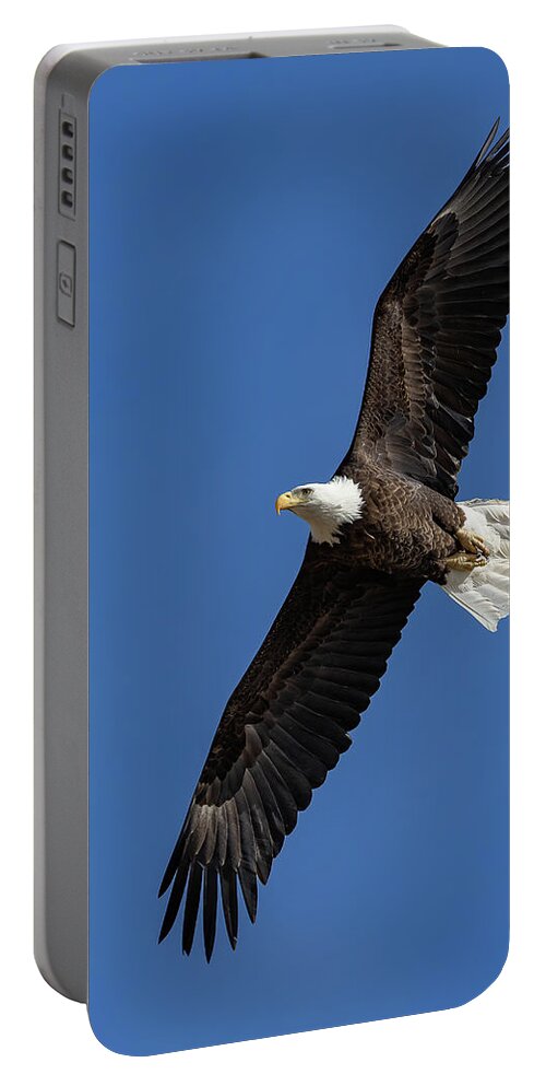 Bald Eagle Portable Battery Charger featuring the photograph Bald Eagle Flyby Portrait by Tony Hake