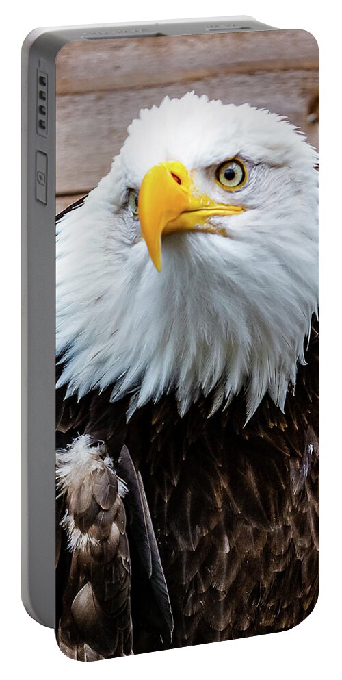 Bald Portable Battery Charger featuring the digital art Bald Eagle Ketchikan by SnapHappy Photos