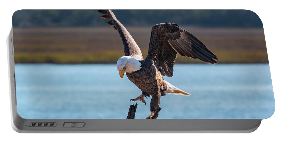 Bald Eagle Portable Battery Charger featuring the photograph Bald Eagle Landing by D K Wall