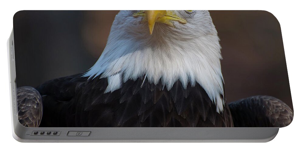 Bald Eagle Portable Battery Charger featuring the photograph Bald eagle looking right by Flees Photos