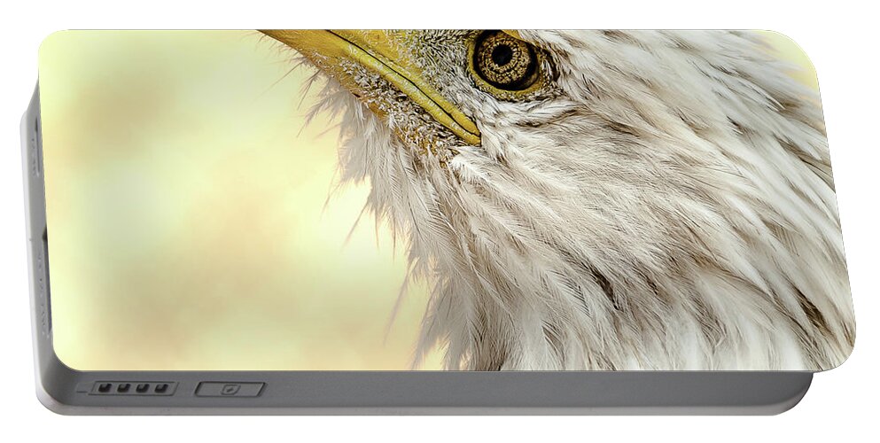 Bald Eagle Portable Battery Charger featuring the photograph Bald Eagle Portrait by Yeates Photography