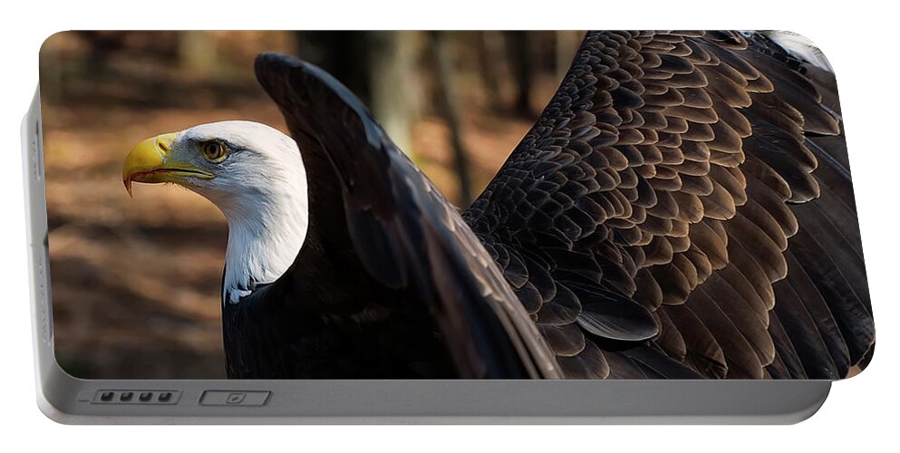 Bald Eagle Portable Battery Charger featuring the photograph Bald eagle preparing for flight by Flees Photos