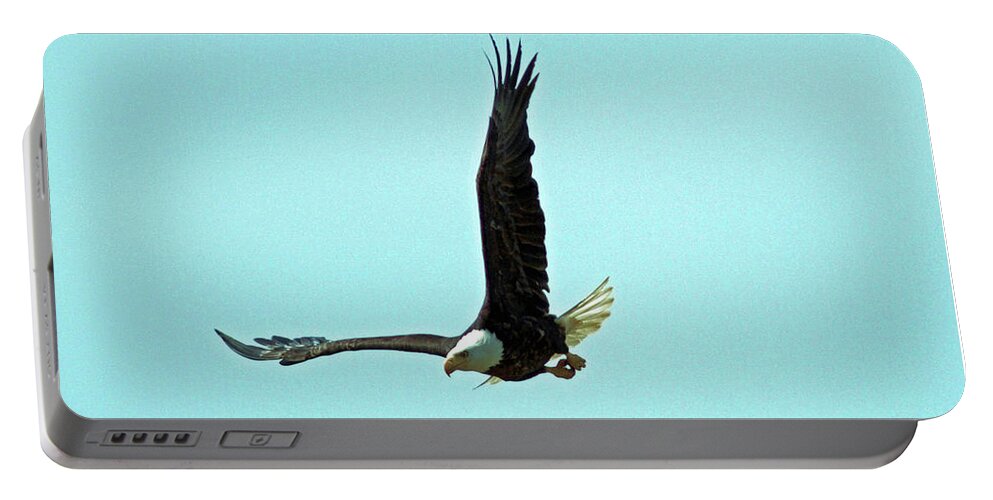 America Portable Battery Charger featuring the photograph Bald Eagle Ready to Dive by David Desautel