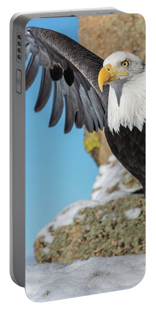 Bald Eagle Portable Battery Charger featuring the photograph Bald Eagle Stretch by Phillip Rubino