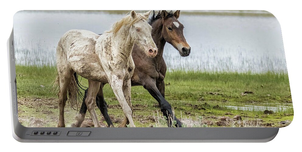 Wild Horses Portable Battery Charger featuring the photograph Balletic Shenanigans, No. 14 by Belinda Greb