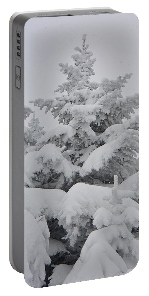 Balsam Fur Covered In Snow Portable Battery Charger featuring the photograph Balsam Fur Covered in Snow by Raymond Salani III