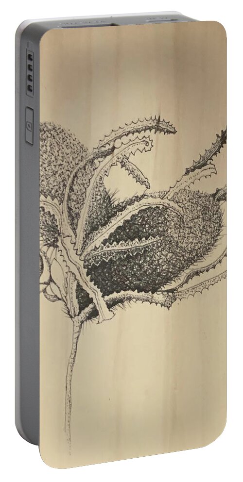 Ink Portable Battery Charger featuring the drawing Banksia by Franci Hepburn
