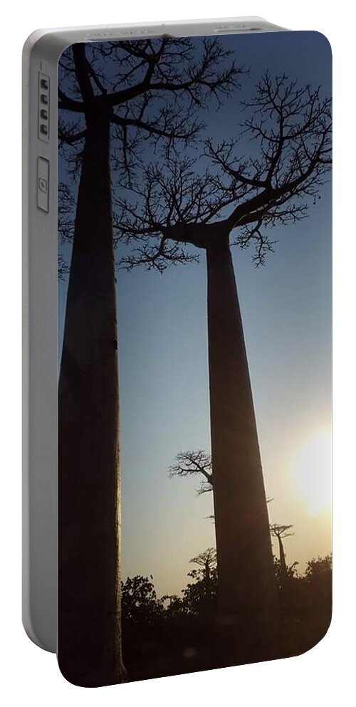 All Portable Battery Charger featuring the digital art Baobab Alley at Sunset in Madagascar KN12 by Art Inspirity