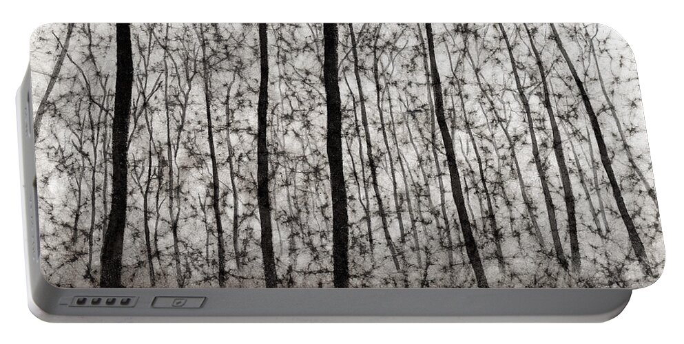Black And White Portable Battery Charger featuring the painting Bare Forest by Hailey E Herrera