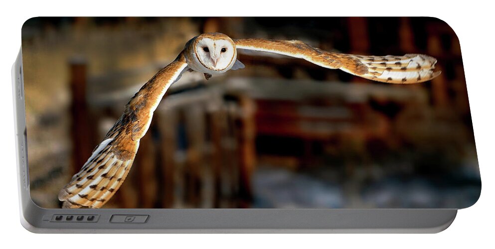 Barn Owls Portable Battery Charger featuring the photograph Barn Owl Incoming by Judi Dressler