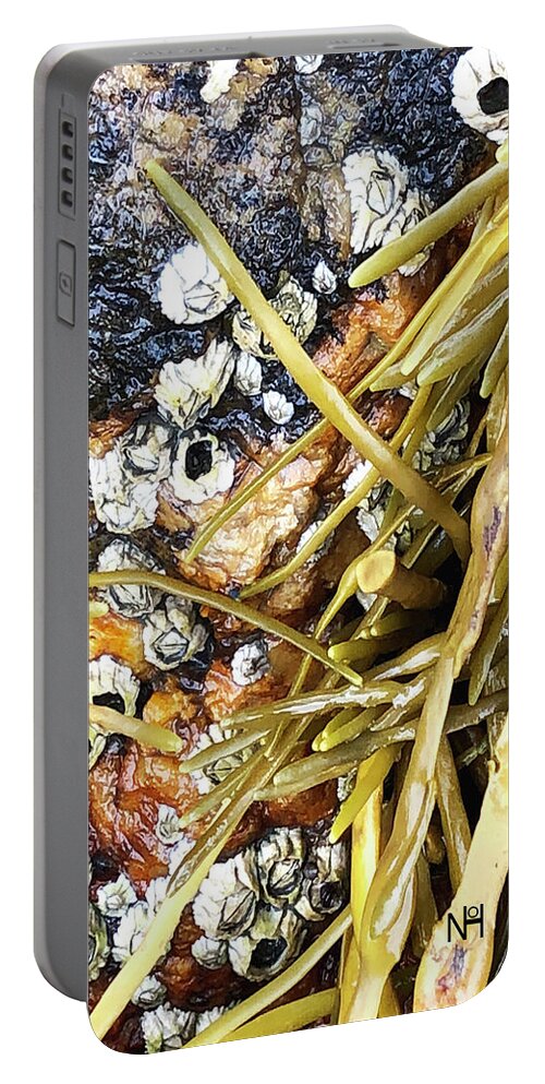 Ocean Portable Battery Charger featuring the digital art Barnacles and Weed by Nancy Olivia Hoffmann