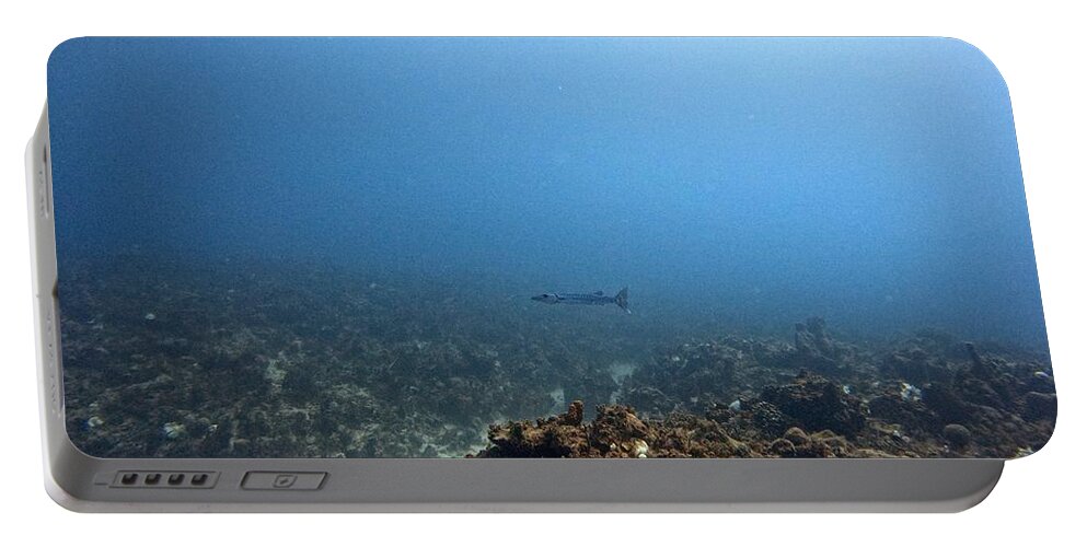 Underwater Portable Battery Charger featuring the photograph Barracuda by Kip Vidrine