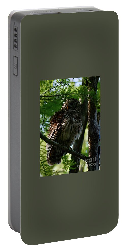 #florida Portable Battery Charger featuring the photograph Barred Owl by Cornelia DeDona
