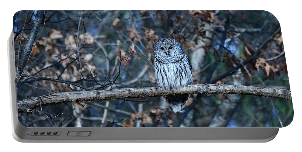 Owls Portable Battery Charger featuring the photograph Barred Owl by Steve Brown
