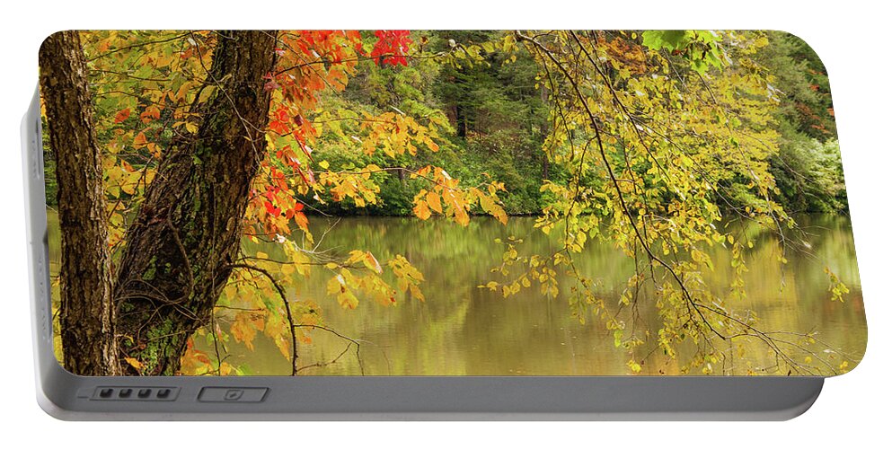 Bass Pond Portable Battery Charger featuring the photograph Bass Pond Biltmore Estate by Rob Hemphill