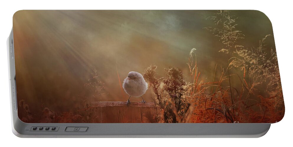 Wren Portable Battery Charger featuring the photograph Bathed in Light by Elaine Teague