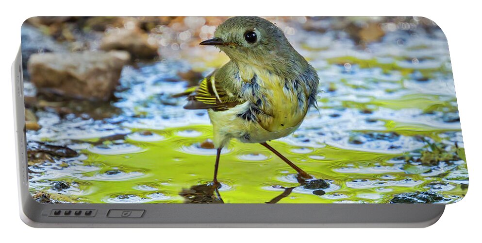 Ruby-crowned Kinglet Portable Battery Charger featuring the photograph Bathing Kinglet by Jurgen Lorenzen